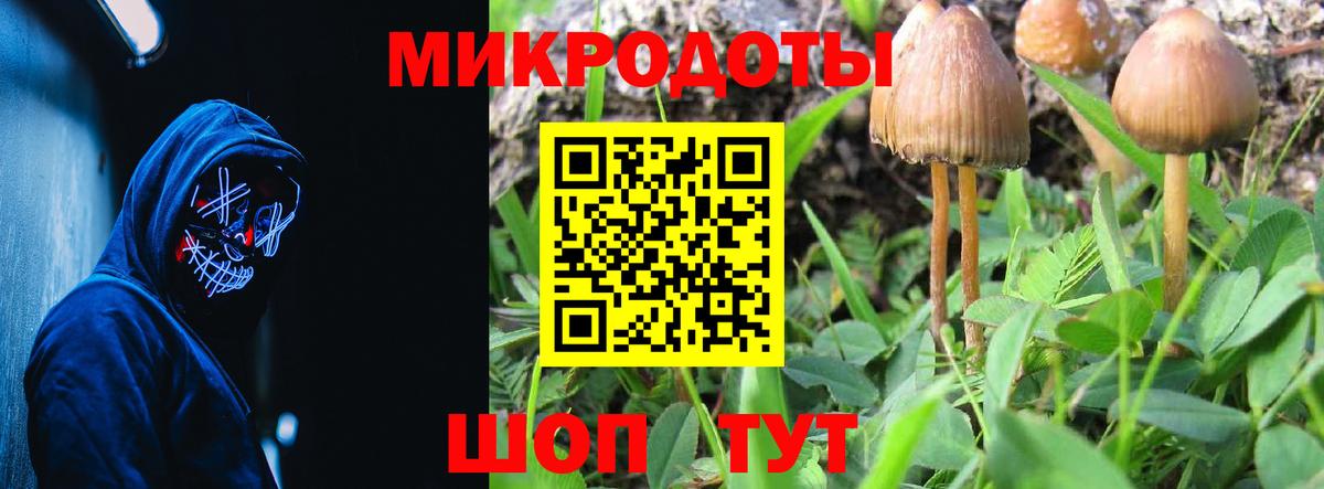 Нягань  Псилоцибиновые грибы Psilocybine cubensis  Вход с VPN 